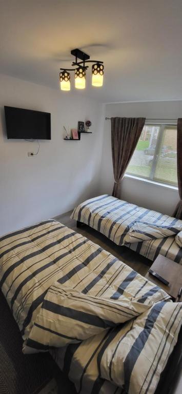 Avdk Apartament Sînpetru Dış mekan fotoğraf